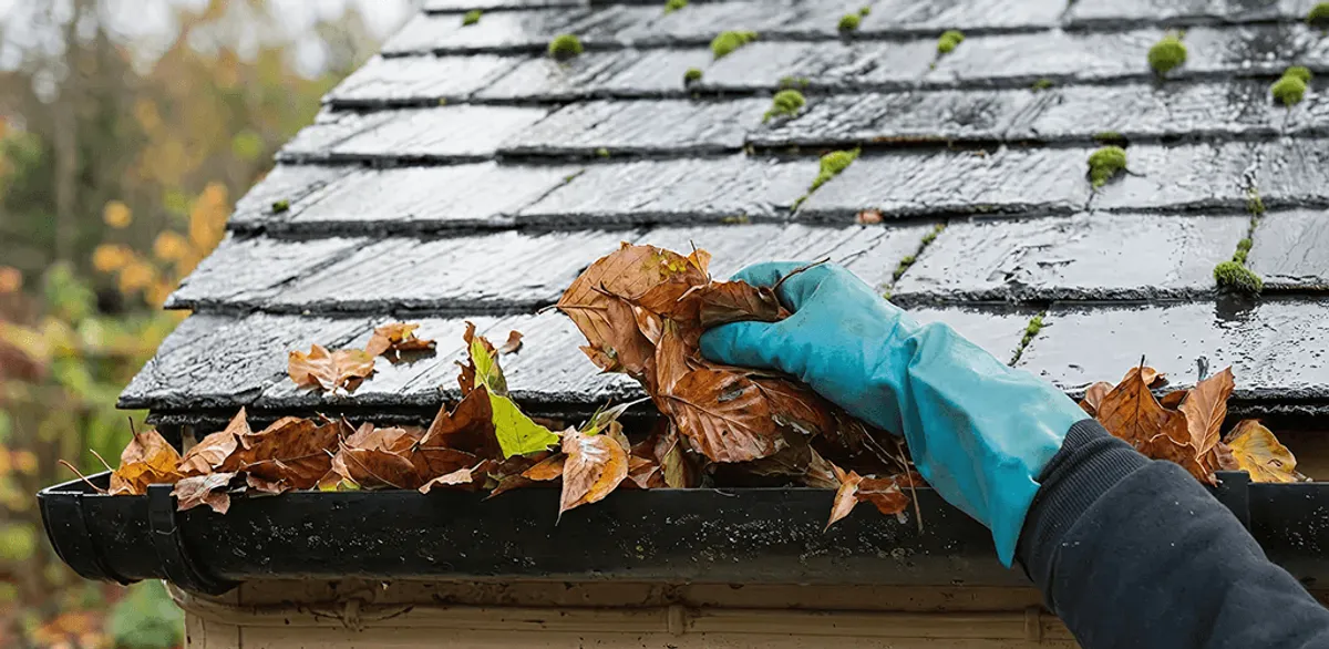Gutter cleaning technician clearing wet leaves from roof gutters in Columbia, SC
